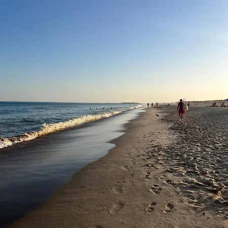 De Tavira